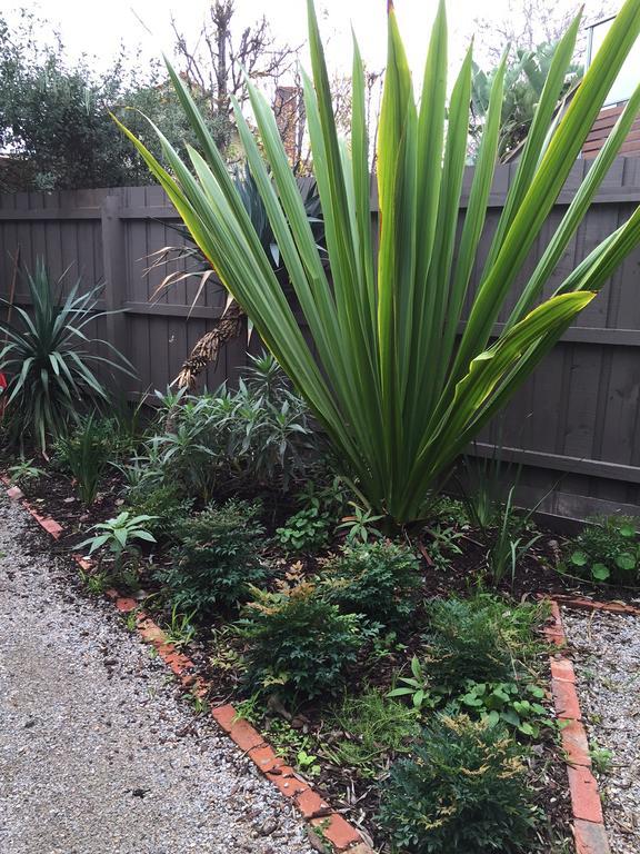 Garden Cottage St Kilda Melbourne Exteriör bild